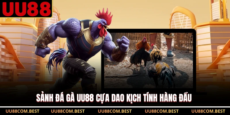 Sảnh đá gà UU88 cựa dao kịch tính hàng đầu 